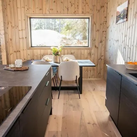 Ferienhaus Modern, Newly Built Trysil